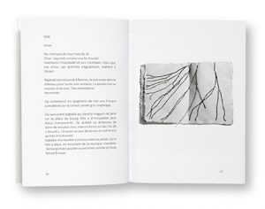 Ouessant, Journal d'une résidence, Maëlle de Coux, Raphaël Auvray, Artfolage, intérieur
