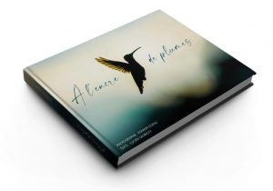 A l'encre de plumes, Romain Dufau