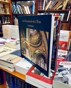 Les Synagogues de l'exil, David Abitbol, Les éditions Messenger