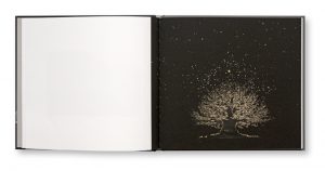 IIKKI 12 - Sasanami - Masao Yamamoto, intérieur