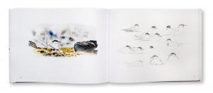 Toundra, Olvier Larrey & Yves Fagniart, Regard du Vivant, intérieur