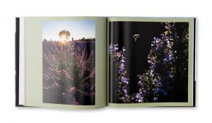 Le Mont Ventoux, Géant de lumières - Evasion au fil des saisons, Lenny Vidal, intérieur