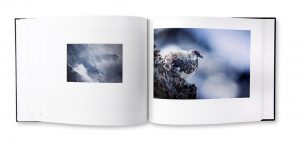 Mont-Blanc Sauvage, Pierre Raphoz, autoédition, intérieur