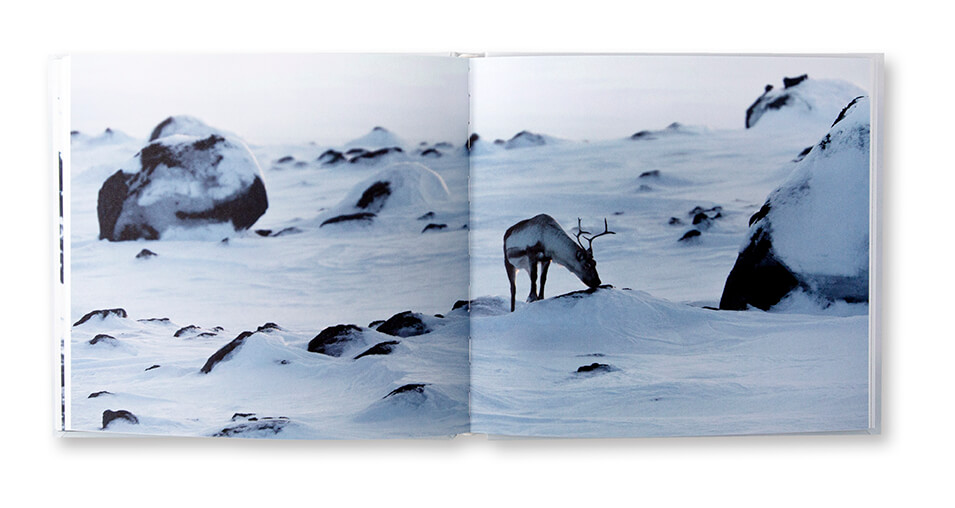 Islande Sauvage, Emmanuel Millet-Delpech, autoédition, intérieur