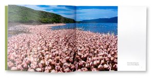 Pink Kénya, Christine et Michel Denis-Huot, intérieur