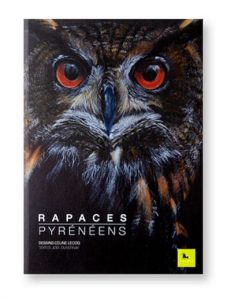 Rapaces pyrénéens, Céline Lecoq, Joël Duvernay, Corbac éditions, couverture