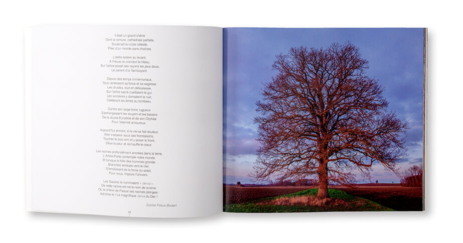 Auprès de mon arbre... les aventures immobiles de Quercus robur, Pascal Bourguignon, Art&Nature Déclic éditions