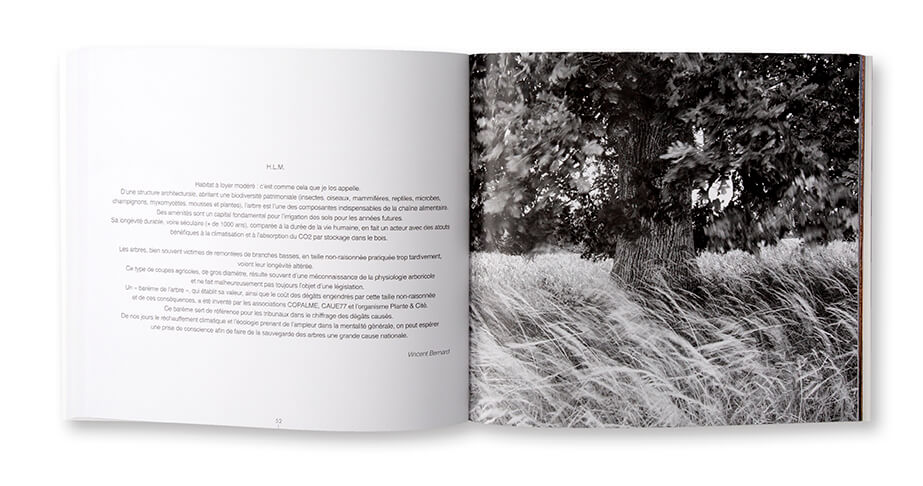 Auprès de mon arbre... les aventures immobiles de Quercus robur, Pascal Bourguignon, Art&Nature Déclic éditions