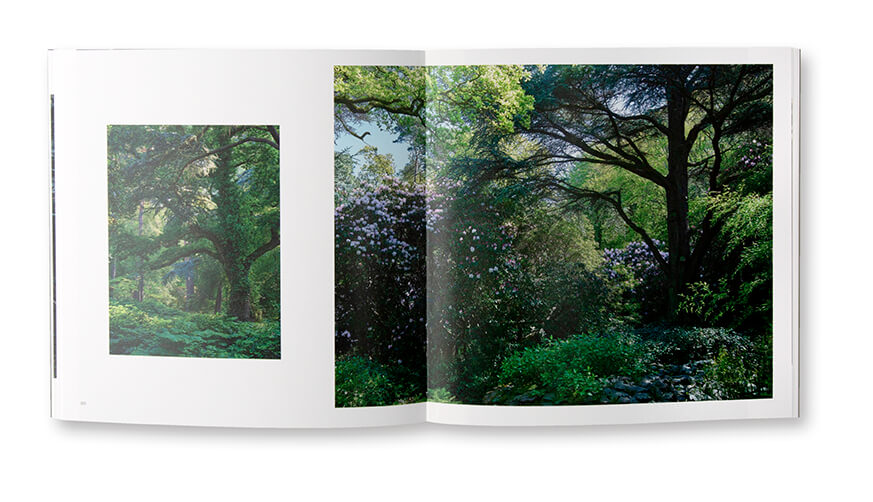 Dans le jardin forêt, Promenade au Bois des Moutiers, Louis Gaillard & Marco Martella, autoédition
