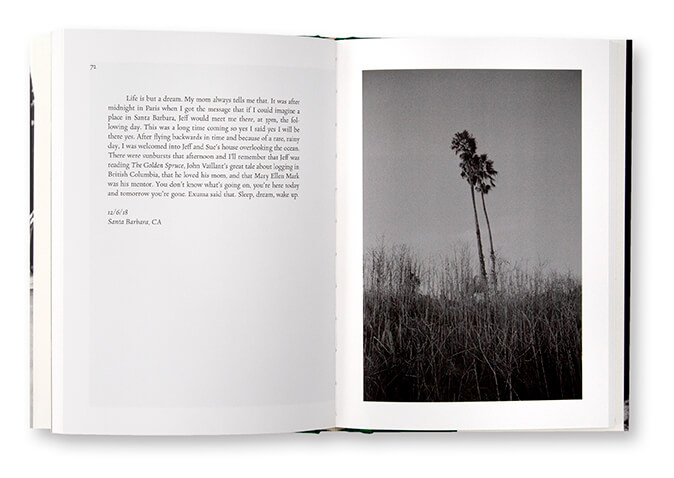 Becoming Pictures, Shawn Dogimont, A Travelogue