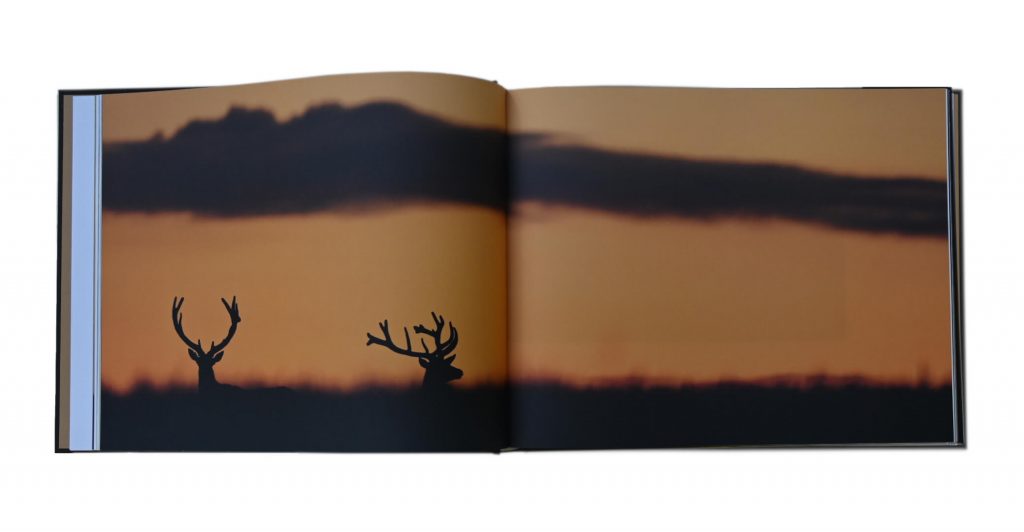 Cervus elaphus, histoire d'une passion, Teddy & Didier Bracard, autoédition