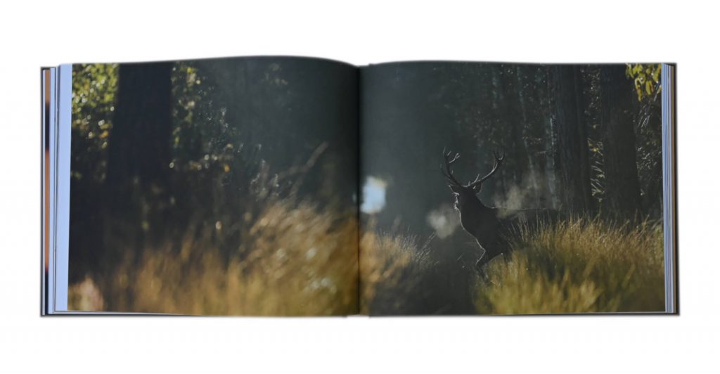 Cervus elaphus, histoire d'une passion, Teddy & Didier Bracard, autoédition
